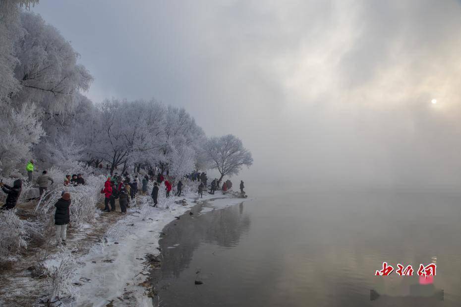 大雾|大雾笼罩松花江 吉林市再现雾凇美景