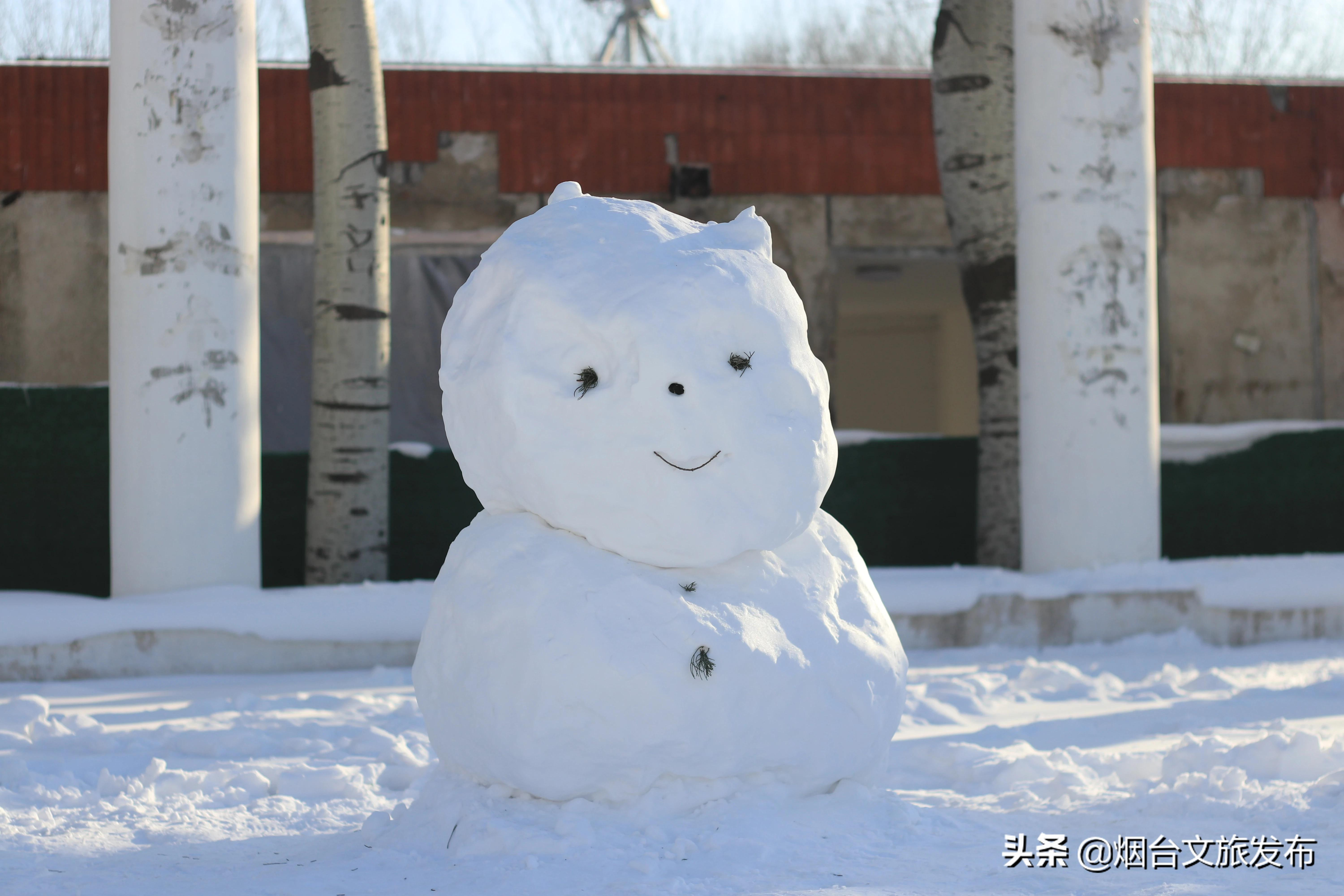 雪花|琼瑶匝地！“雪窝烟台”盛装亮相