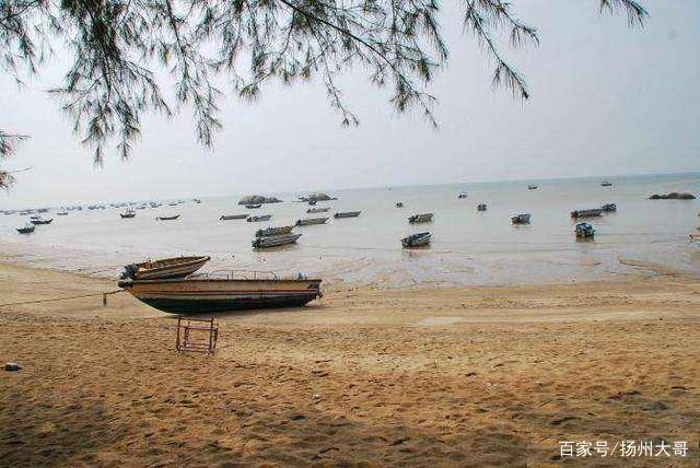 行走欽州三娘灣,坐船出海看海豚_遊客_漁船_景區