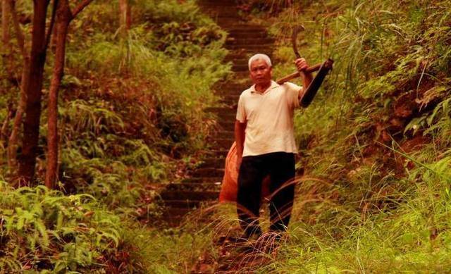 老汉救了大白兔,大白兔却咬伤了他,老汉最后痛哭流涕_刘老_爷爷_打猎