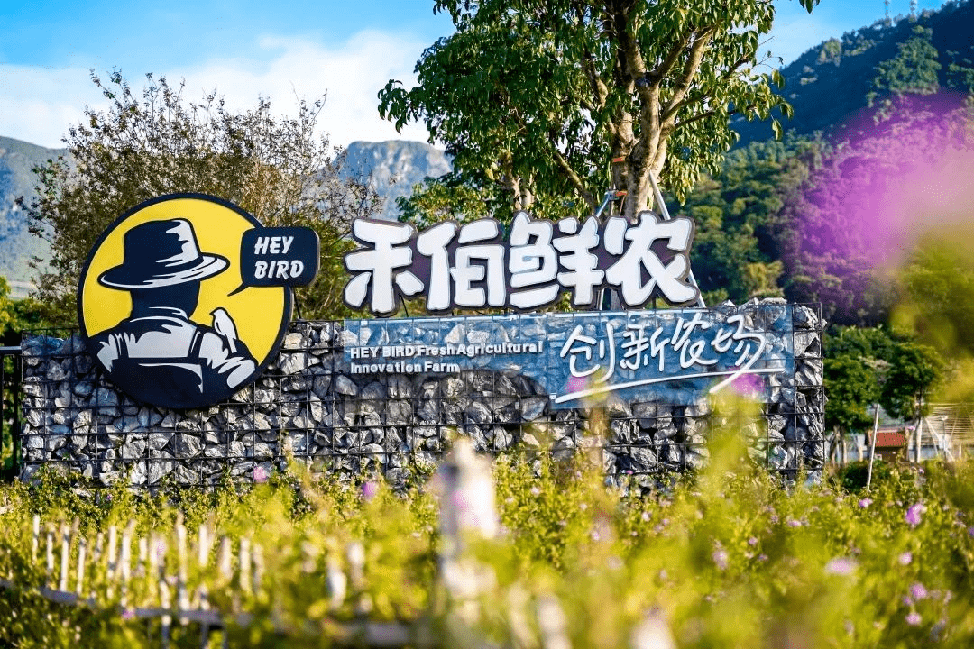 暖冬微度假,田园采摘_种植_美园_禾伯鲜