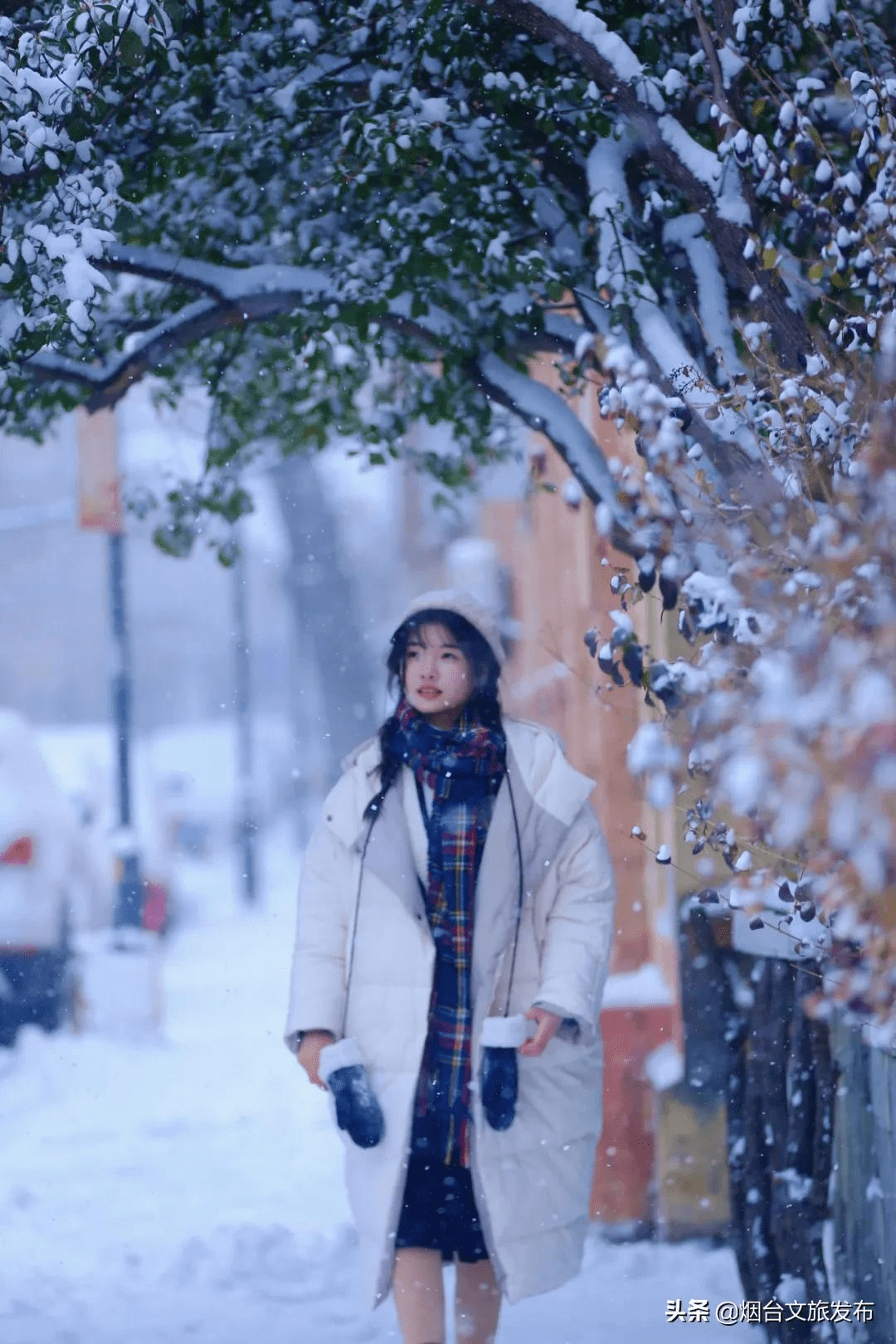 雪花|琼瑶匝地！“雪窝烟台”盛装亮相