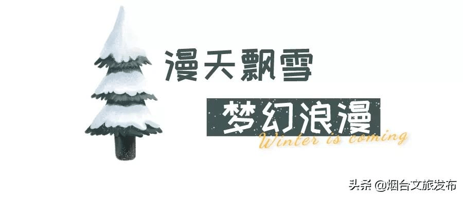 雪花|琼瑶匝地！“雪窝烟台”盛装亮相