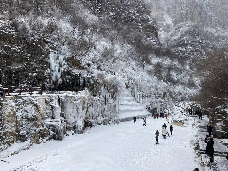 游客|河南云台山雪景冰瀑“同框” 上线冬季限定美景