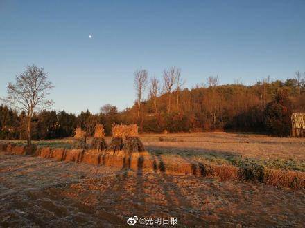 会泽|念湖如何成为鸟之乐园