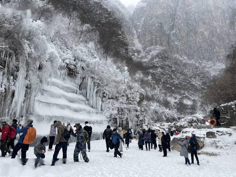 非法|河南云台山雪景冰瀑“同框” 上线冬季限定美景