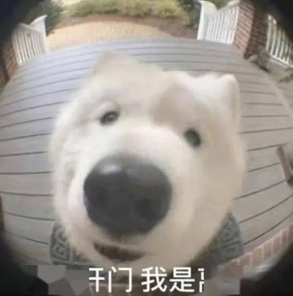 老公|卧槽！皮蓬前妻加入成人网站