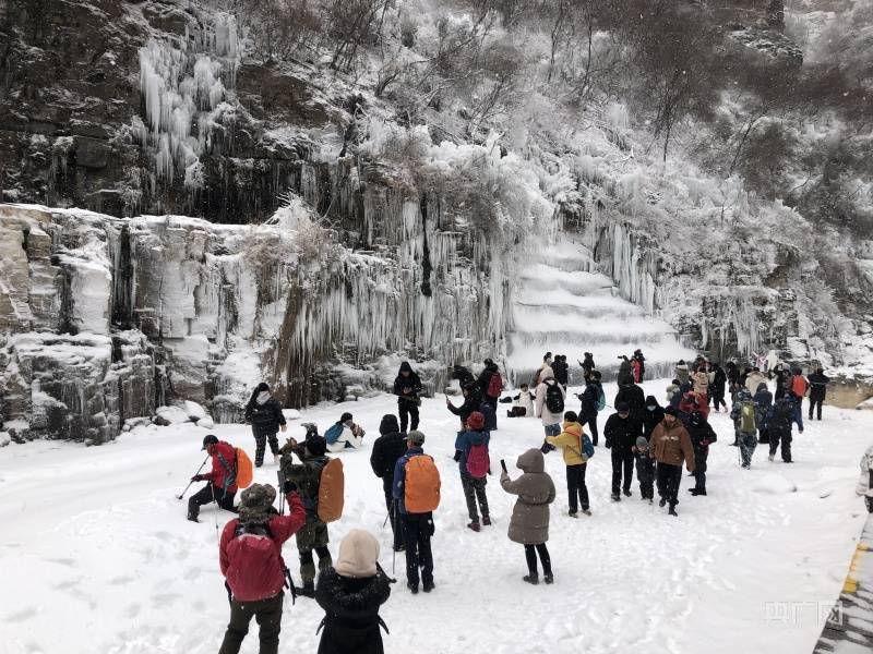 游客|河南云台山雪景冰瀑“同框” 上线冬季限定美景