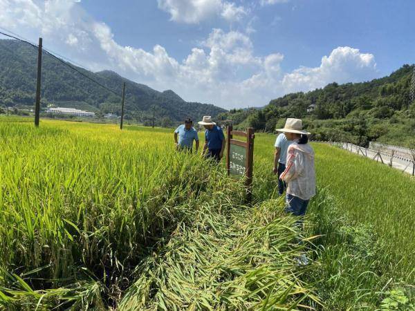 唐湾镇|桐城：盘活乡村资源 助力乡村振兴