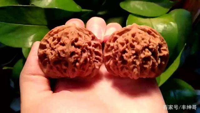 文玩宫灯核桃又称玉玺狮子头