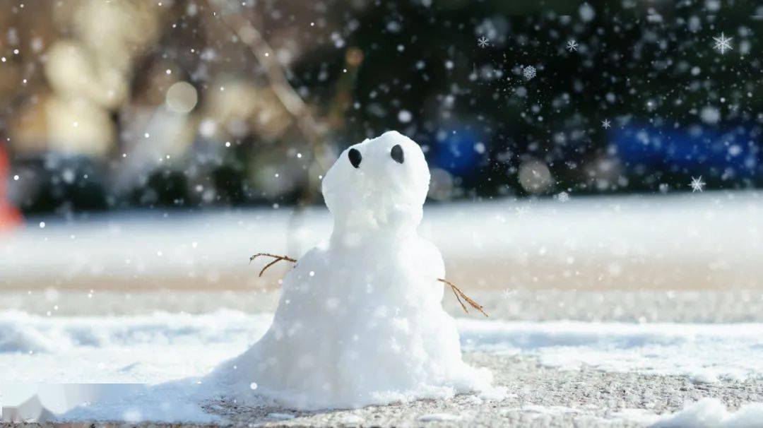 久在晴冬逢初雪,我与青大两白头_雪花_白雪_王筱涵