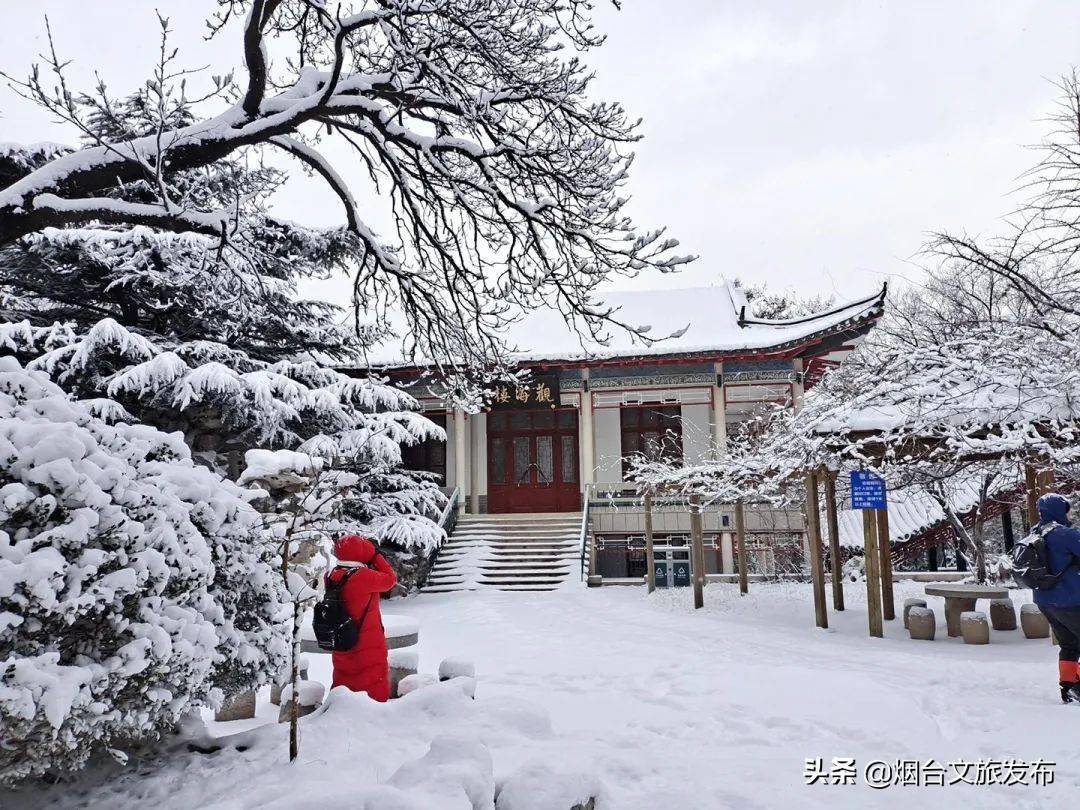 蓬莱|“雪窝”烟台变妆照，惊艳了全国！珍藏！