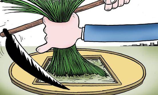 为什么总是被基金割韭菜_亏损_目的_资金