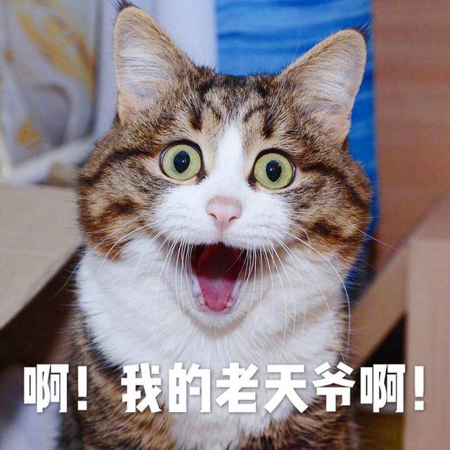c80a1b9748344355b249b1510ed993cc.jpeg