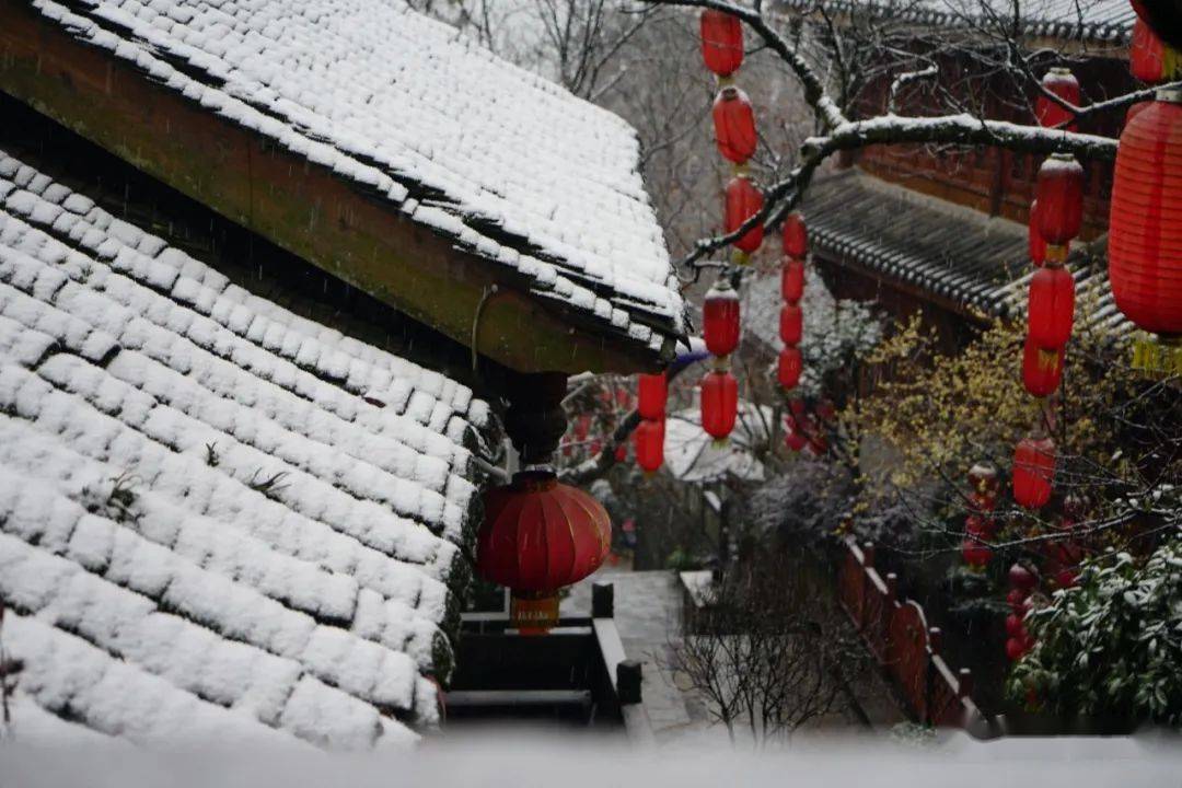 雪景|不负众望！都江堰下雪啦！最美雪景在这里~