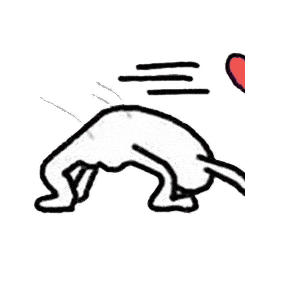 抖音热门表情包i你今天必来大姨妈