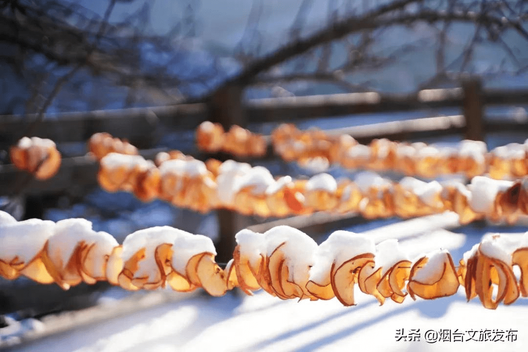 雪花|雪花里的海阳！最美赏雪点位来了！