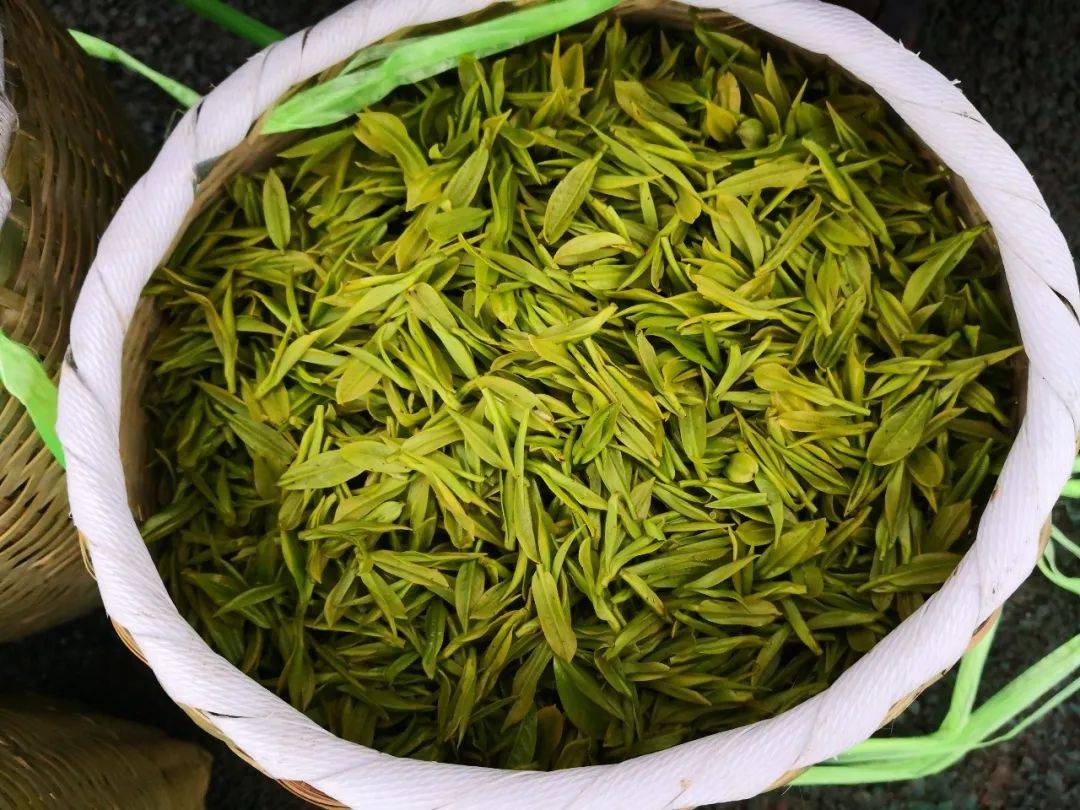 贵州普安红_贵州正山堂普安红茶业有限责任公司