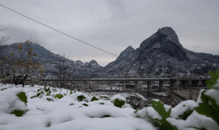 三都：迎来近三年来的第一场雪，市民欢乐多