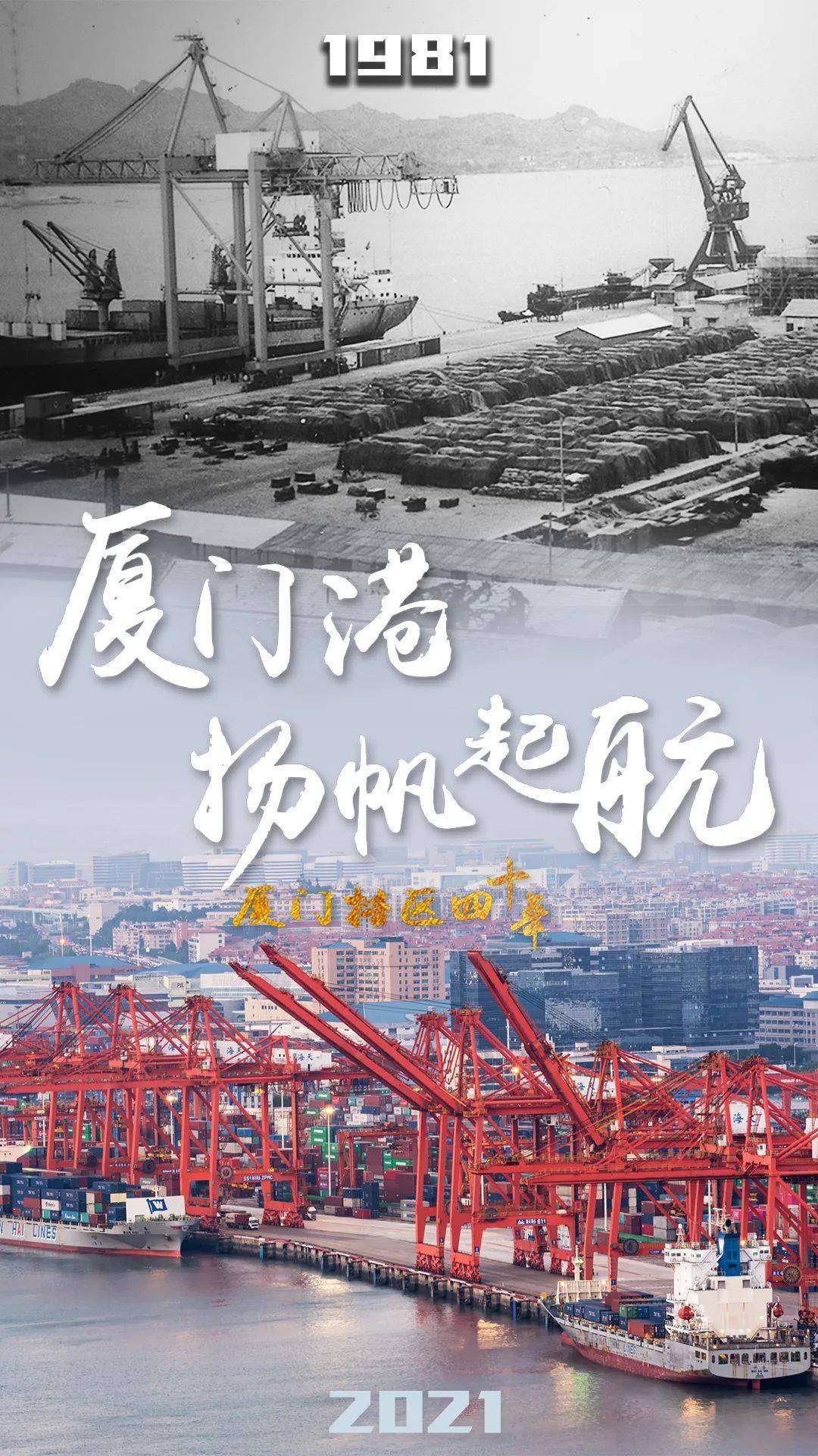 厦门这里曾是一片荒凉的滩涂现在能联通全球特区40年见证厦门港芳华
