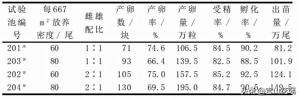 基金项目斑点叉尾鮰亲鱼池塘产卵繁殖影响因素研究