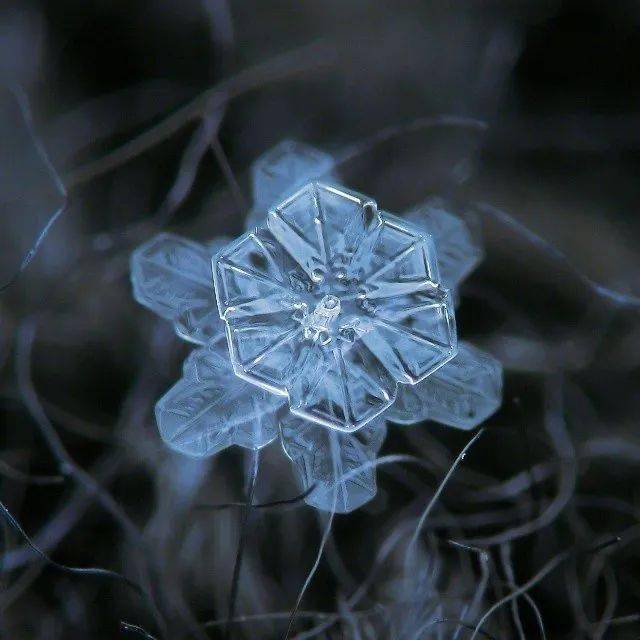 奥秘|他拍下世界最美68张照片，罕见三角形雪花曝光，8万人痴狂：宇宙终极奥秘是雪花！