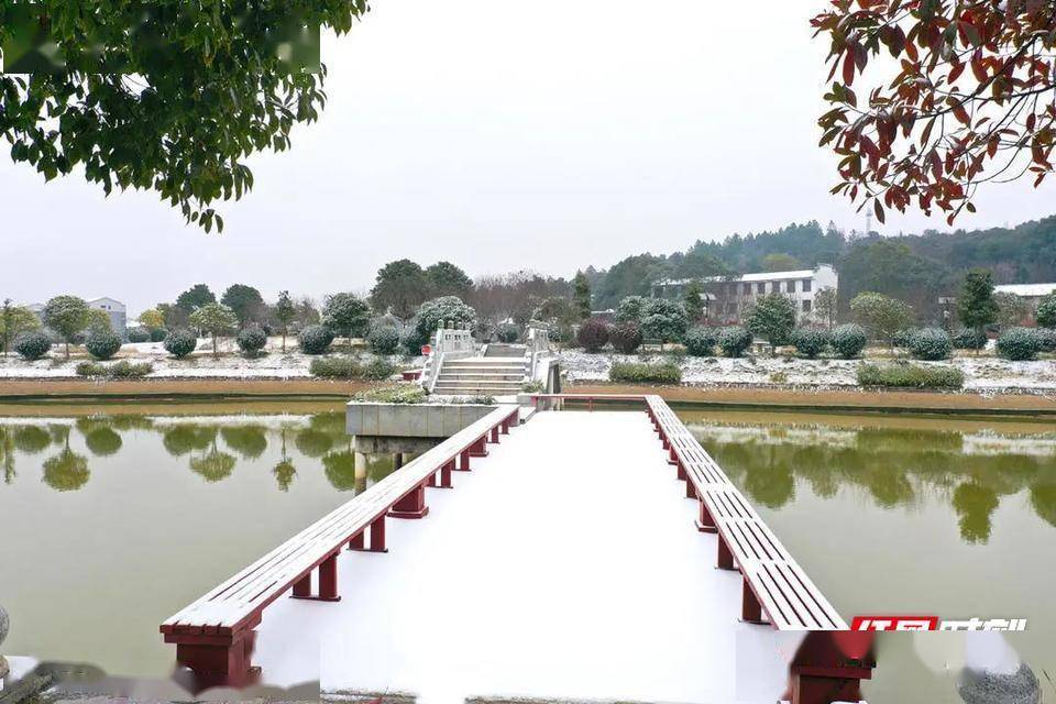 红墙|组图 | 一起“打卡”蒸湘雨母山“雪世界”