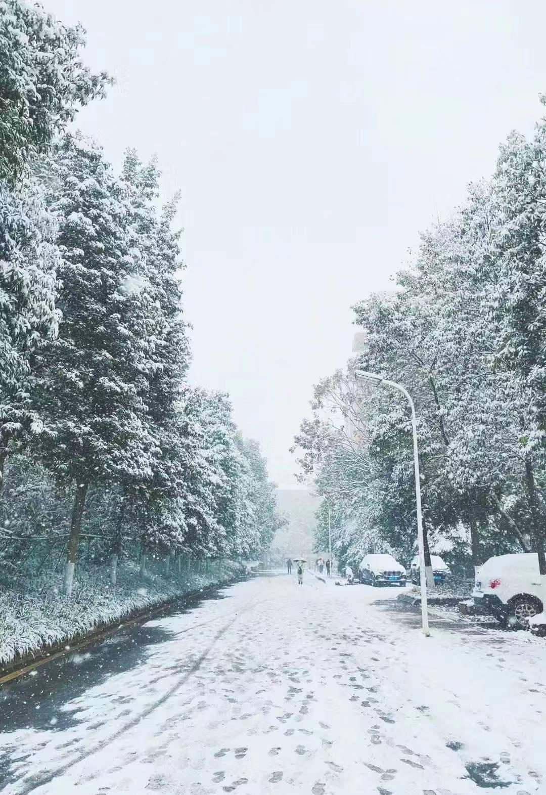 初雪|湖南高校初雪图鉴 第一次这么认真地赏雪