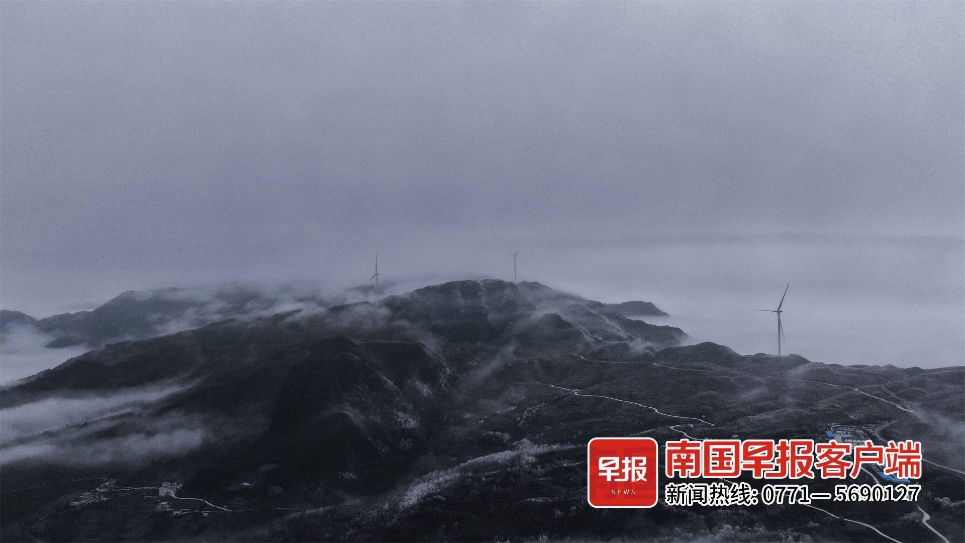 高山|美出圈！乐业高山地带出现雾凇景观，漫山遍野银装素裹