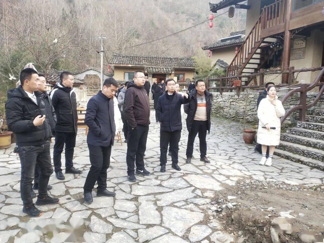 文县碧口镇桥头镇天池镇考察团一行到岸门口镇考察乡村旅游发展民宿