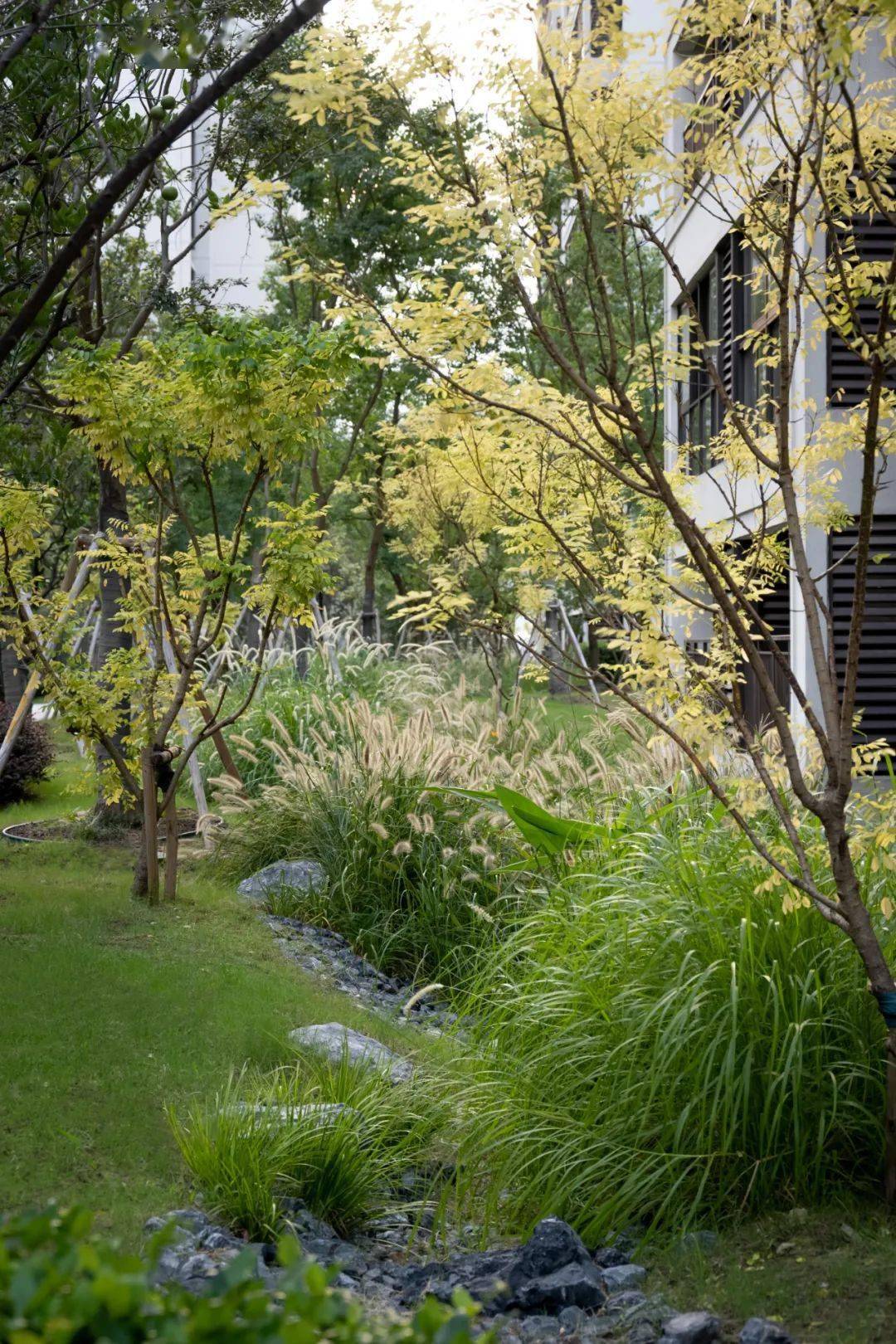 我家楼下的雨水花园苏州旭辉公元萃庭