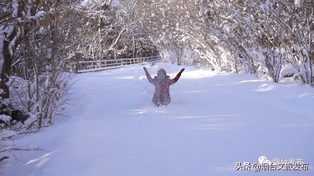 雪花|仙境烟台，风雪中的这三天……