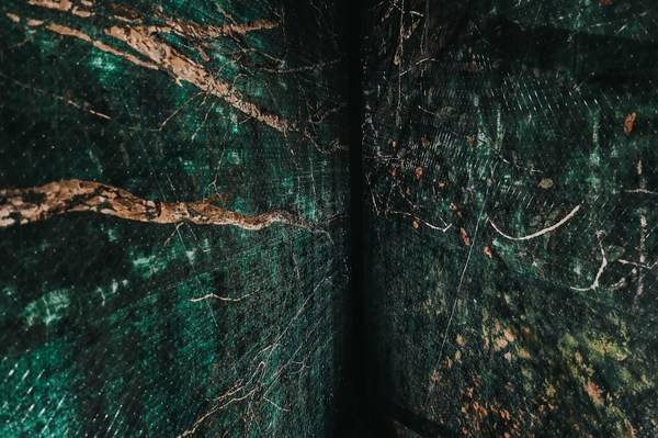 空间|七尚酒店户外自然艺术空间 吴观真个展“恍惚 FLOW IN TRANCE”