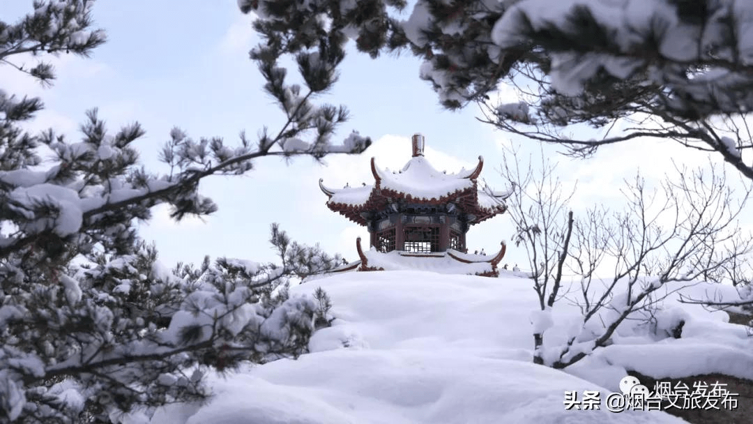 雪花|仙境烟台，风雪中的这三天……