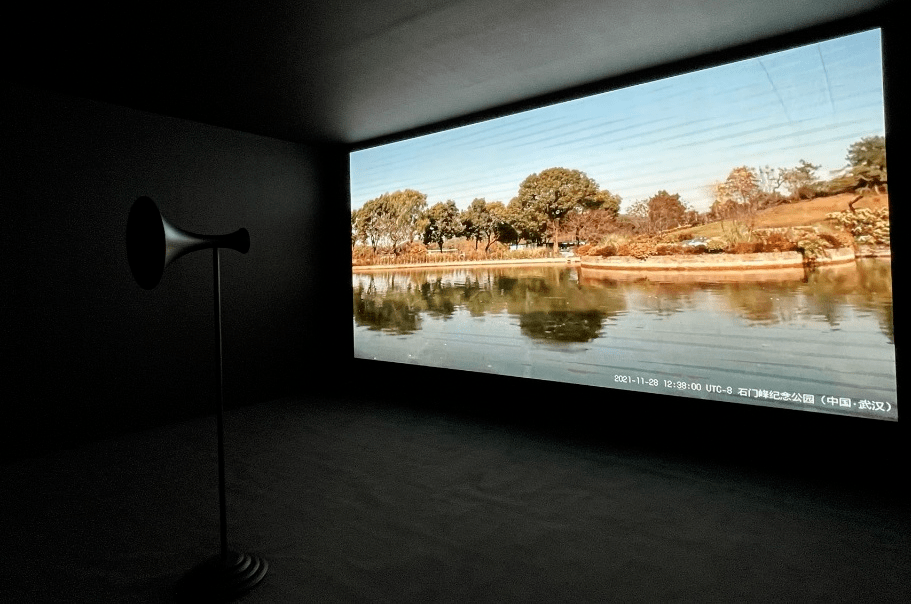 没开玩笑!对湖水喊话,它真的会回应丨智言智语