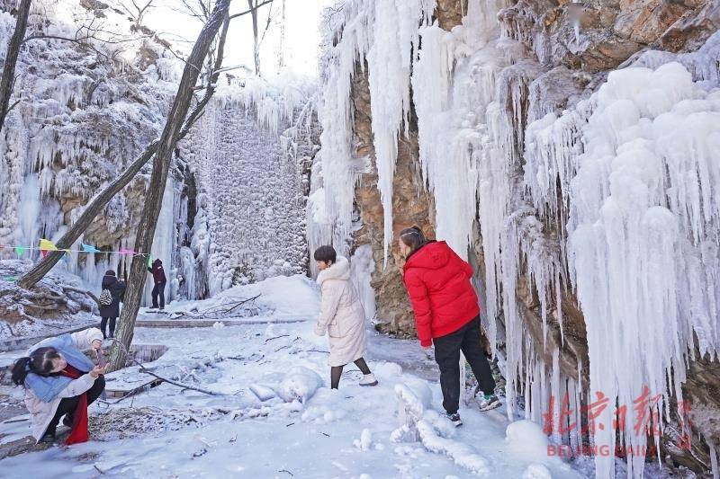 山头|荒山变冰雪世界！红色田庄村亲子冰瀑元旦迎客