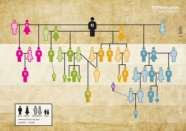 最古老家譜：英國古墓葬27人為5700年前一父四母的後代 國際 第4張