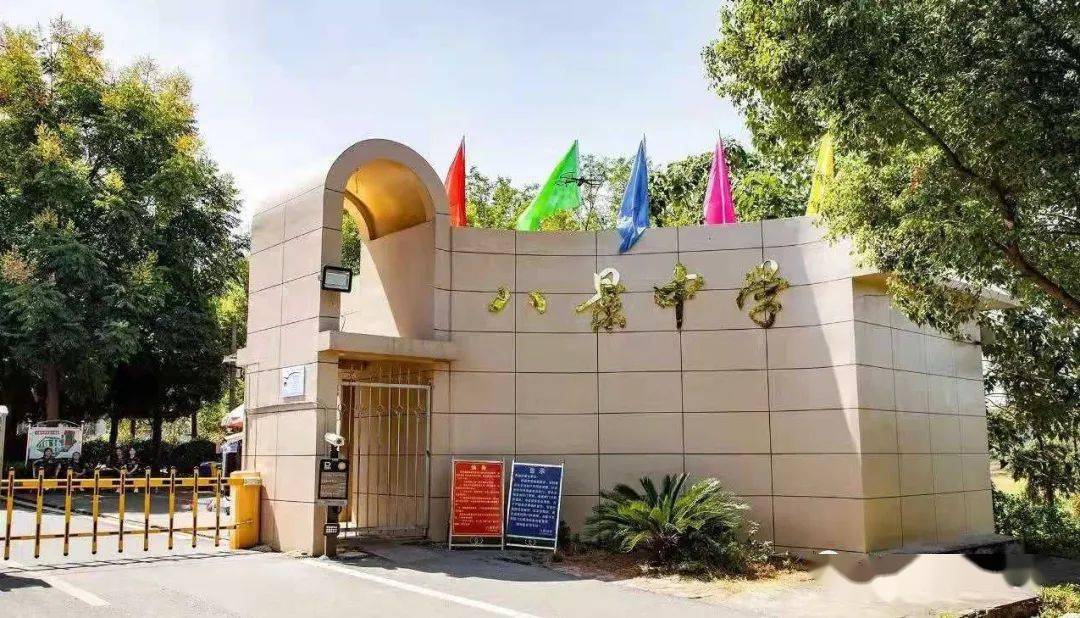 12月31日,八景初中迎来第五届文化艺术节_独城_家长_生活