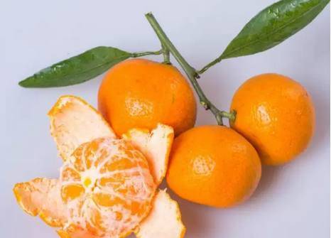 想了解陈皮 先要明白桔子 橘子 柑子 橙子 柚子的区别 果实 柑桔 植物