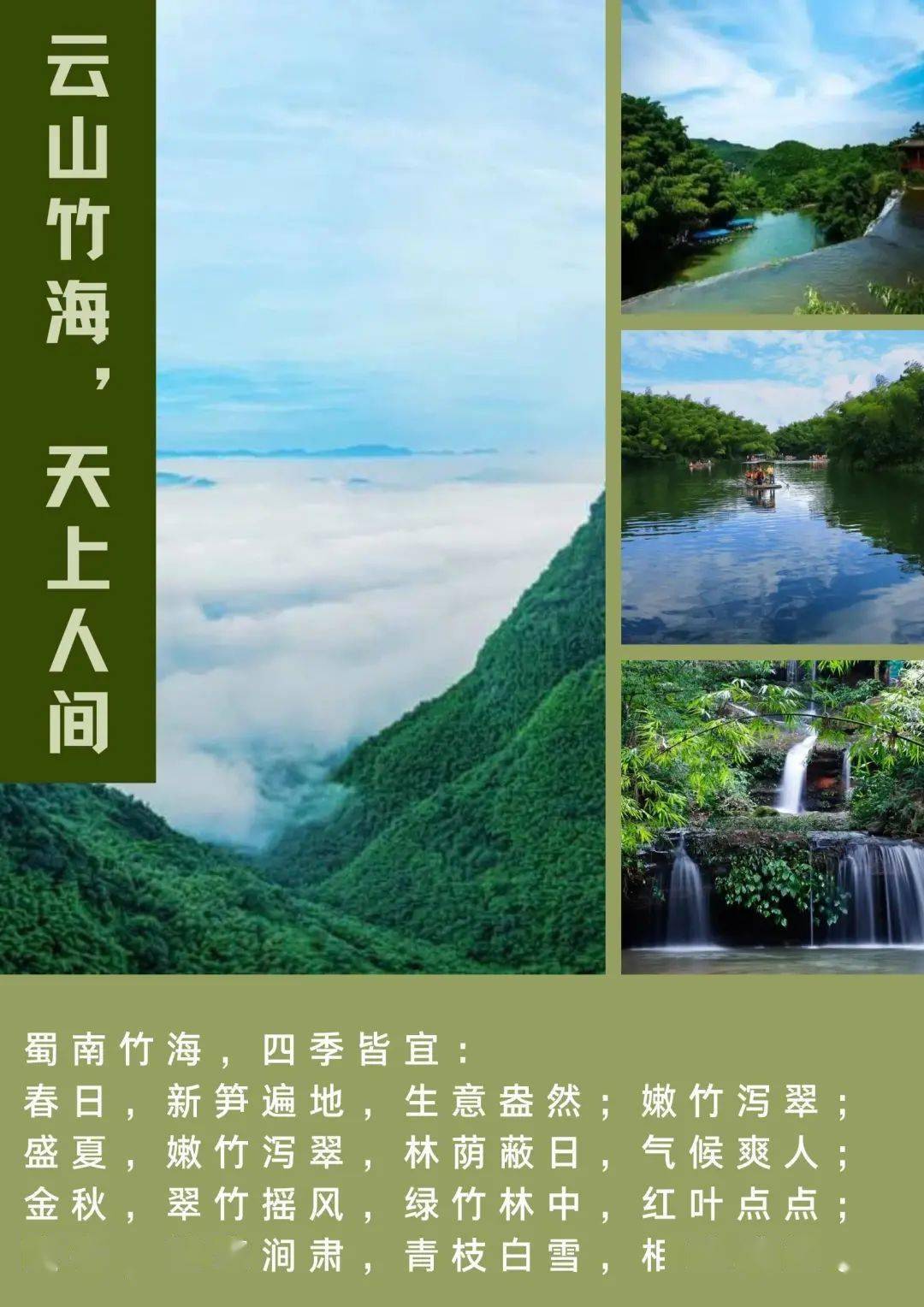 "网红"大熊猫来竹海了,门票19.9元可亲密接触!
