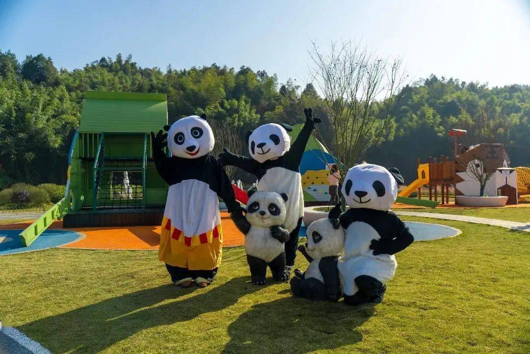 网红大熊猫来竹海了门票199元可亲密接触