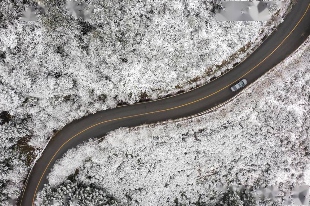 麻辣烫丨寒潮来袭后，放牛坪的冰雪世界不容错过