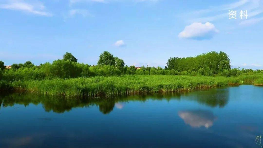 联动共治护航东平湖生态保护和高质量发展