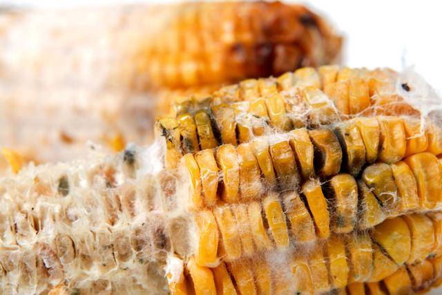 食物中常见3种一类致癌物