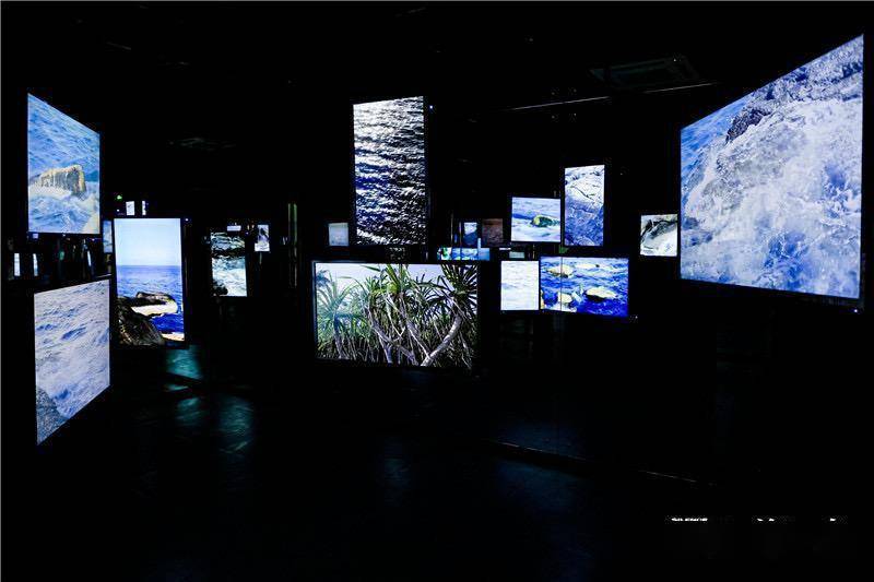 影像|回到灵感的源头！艺术家陈海首次在故乡海南岛办展