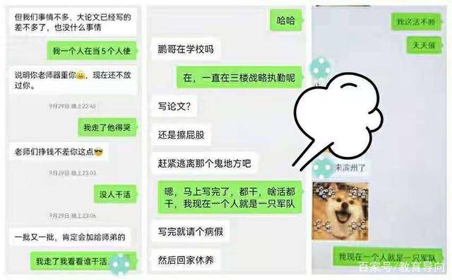 0275edf6774540268fb7897cc2597173.jpeg