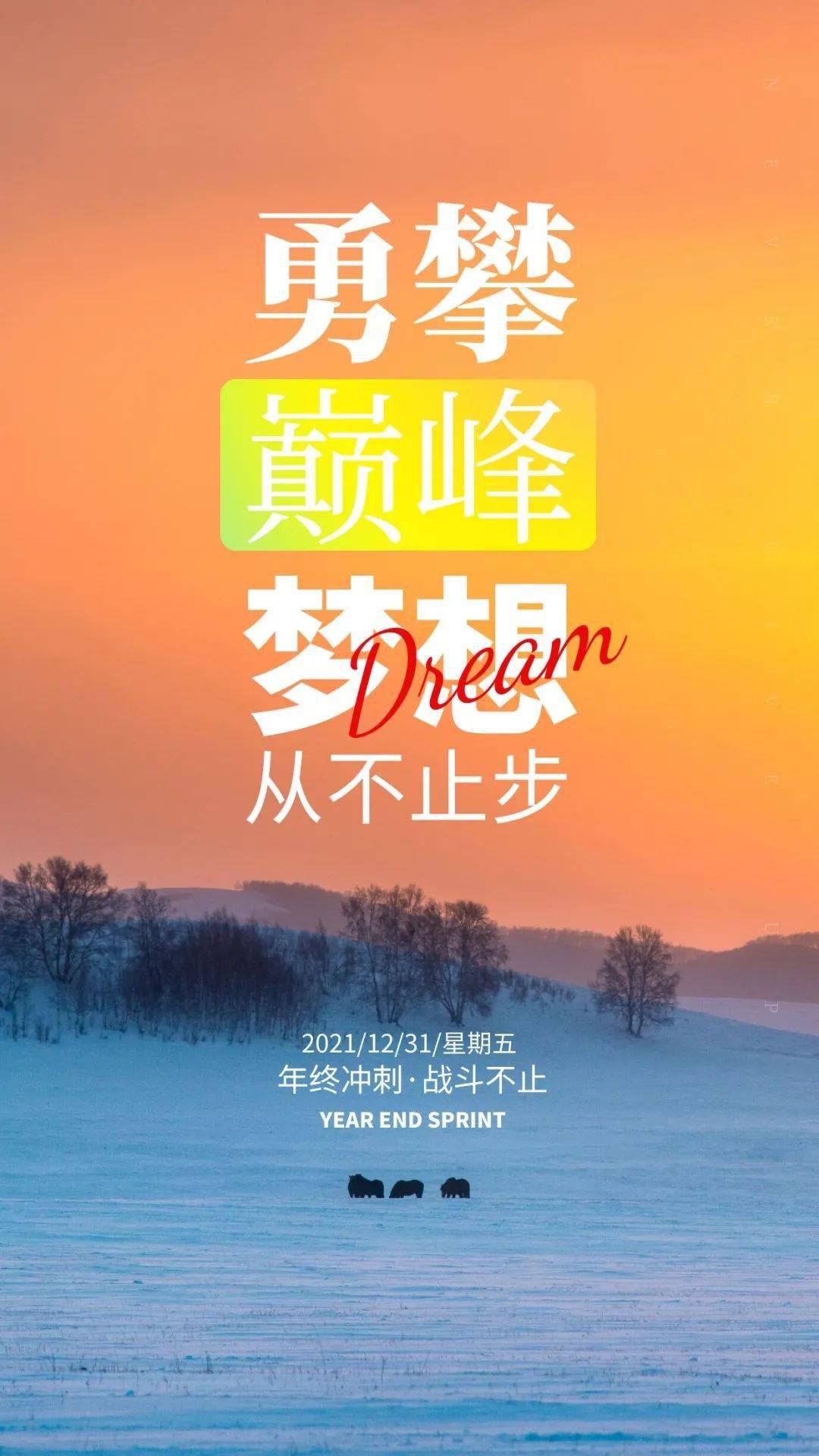 12月31日早安 新的一天 遇见更好的自己 阳光会 人生 生活