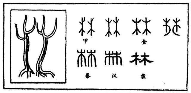文字_甲骨文_符号