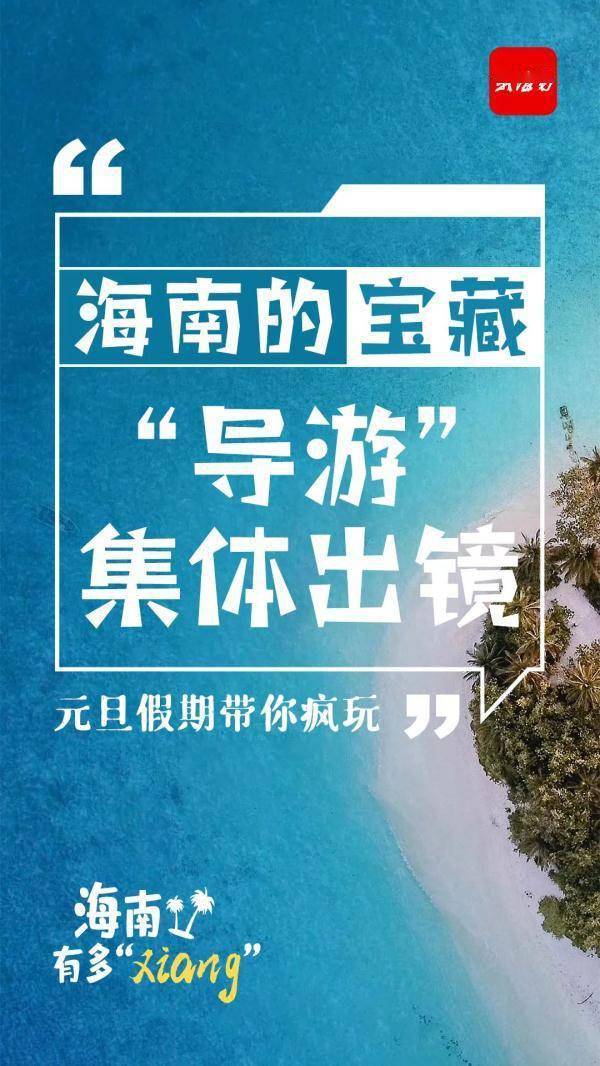 导游|海南宝藏“导游”集体出镜！元旦就要去一些可可爱爱的地方……