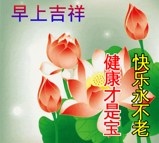 早安馨语新的一年新的祝福